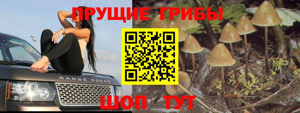 Псилоцибиновые грибы мухоморы Ревда